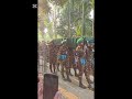ঝড়ে গেল একটি প্রাণ 😅আল্লাহ তাকে জান্নাতুল ফেরদাউস দান করুক আমিন #বাংলাদেশ #সেনাবাহিনী