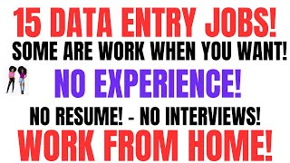 15 Data Entry  Non Phone Some Are No Interviews No Experience Work From Home Jobs & Side Hustles!!!