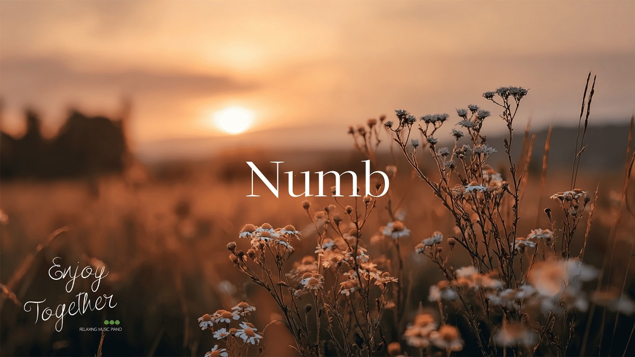 Numb Feelings Rest Quietly Without Pressure. 🌿🤍 It’s safe to feel nothing