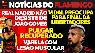 ultimas mengo - Página 433 de 1253 - Flamengo - Notícias e jogo do Flamengo  - Coluna do Fla