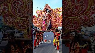 singa burok arak arakan #shorts