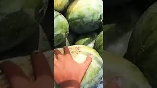 Semongko Super Nih Boss