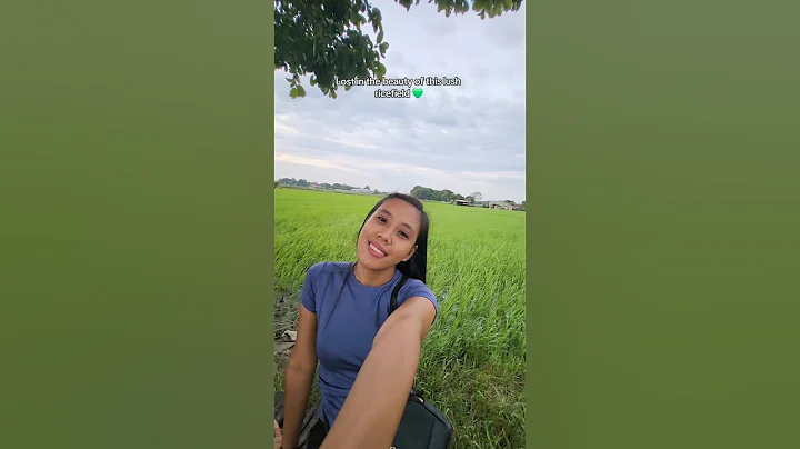 Lush ricefield —the simple beauty of province life 💚🇵🇭