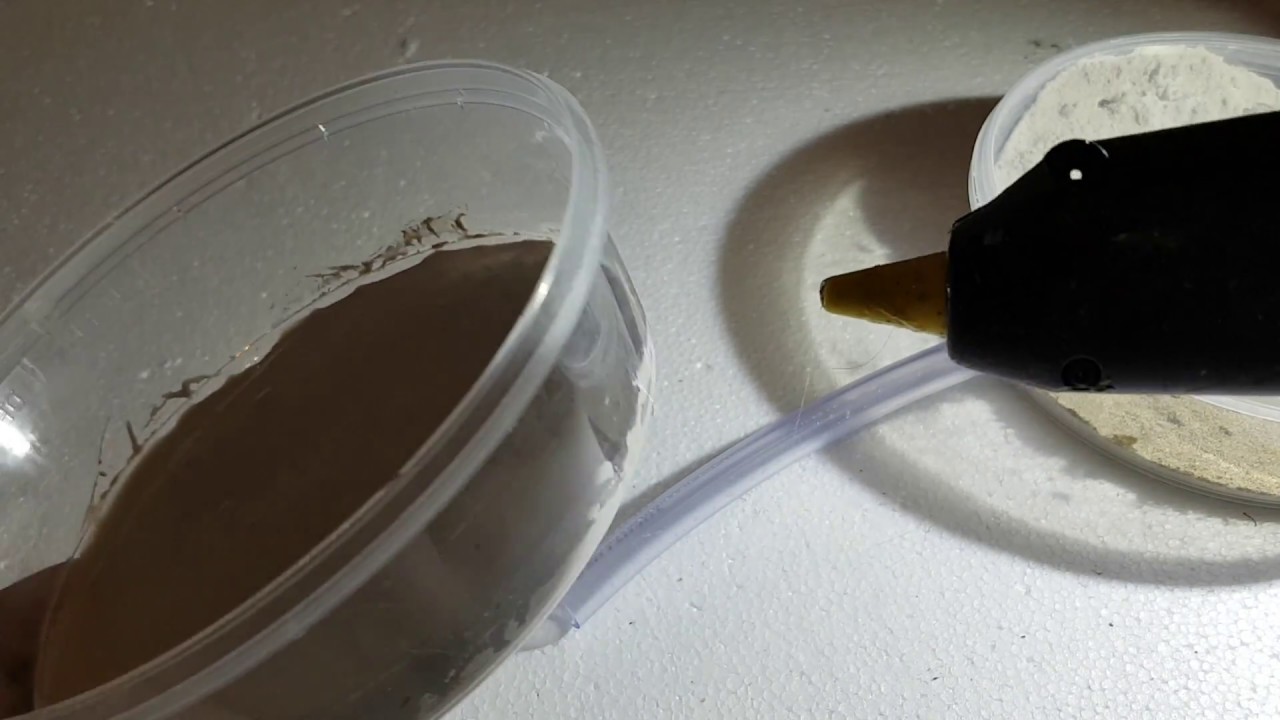 Ein Formicarium / Ameisenfarm für Ameisen ganz einfach selber bauen