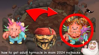 how to get adult hornacle in msm 2024 no hacks
