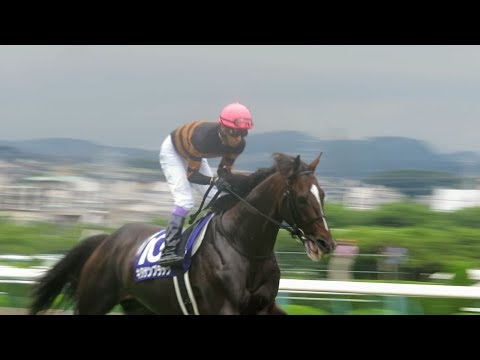 H29.06.25　宝塚記念　馬場入場　ｷﾀｻﾝﾌﾞﾗｯｸ 他 阪神競馬場