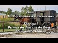 Амиши Между прошлым и настоящим The Amish Between the Past and the Present. Montgomery, Indiana