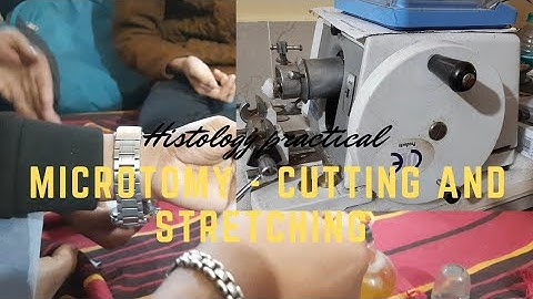 Cutting and stretching of ribbon of tissues| Microtomy demonstration| Zoology Practical