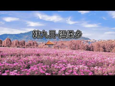 韩九日～温柔乡（你把心丢在了温柔乡 整天拥抱着爱的幻想）动态歌词Lyrice