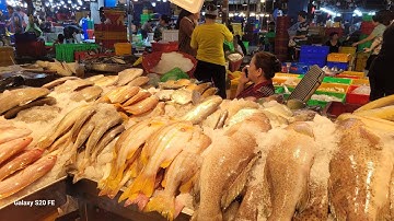 chợ bình điền cá mực vô nước quá xá nhiều. rẻ