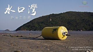 水口灣大嶼山 - 香港生態遊 4K