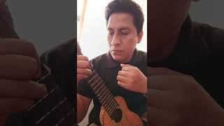 Popurrí de música oriental en charango