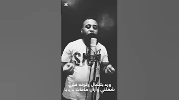 حلات واتس رمش خطاف 
