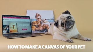 How to make a canvas of your pets