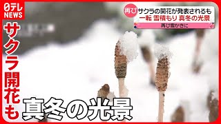 【きょうの1日】再び真冬の光景に　雪かきに追われ“もう降らないで”　北海道