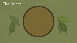 The Clues and Signs in Trees - Natural Navigation Profile