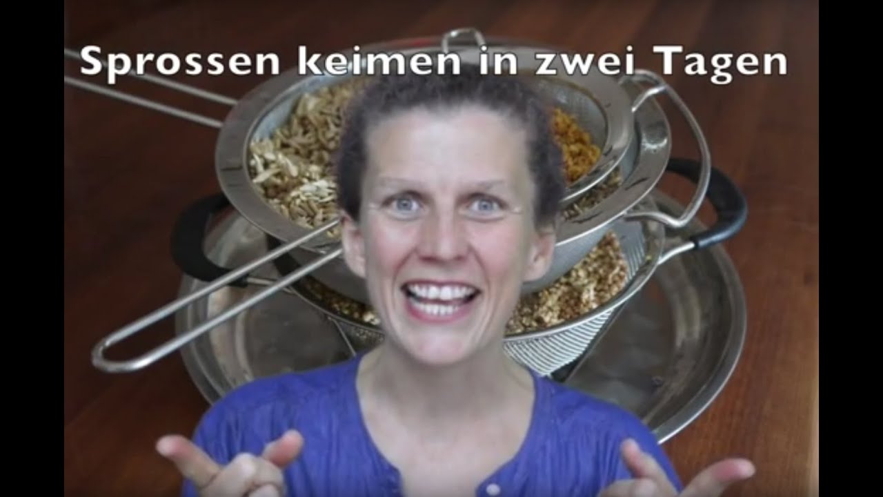 In zwei Tagen Sprossen züchten