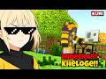 🔴 Live :MINECRAFT+VALO Minecraft But With Different Mods "AGED" | Minecraft | #minecraft #girlgamer