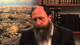 Weekly Torah Portion: Shmini