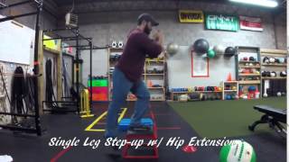 Single Leg Step up w Hip Extension