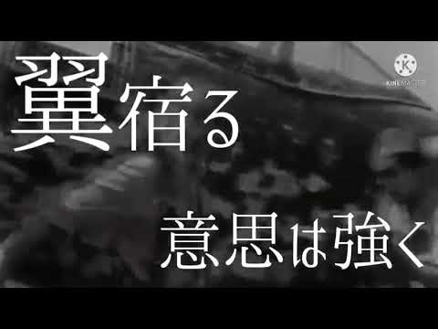鋼鉄ノ鳥　【日本軍MAD】