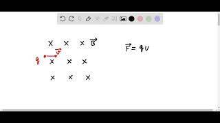 Text X X X X X X X X X X 8 X X X X X X X X X X X X X   X X X 9 1 6x10 19 a v 4 0