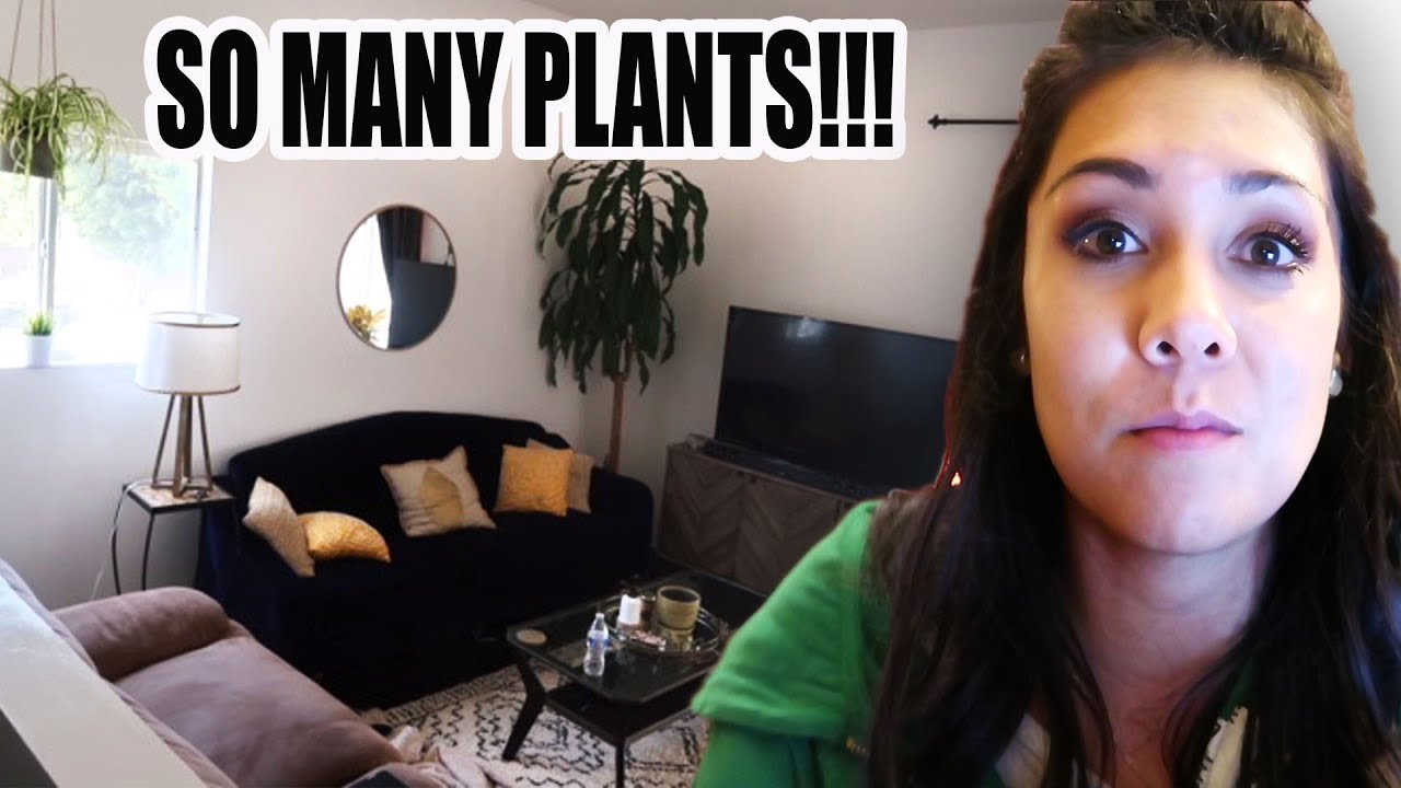 Nikki Limo Reddit
