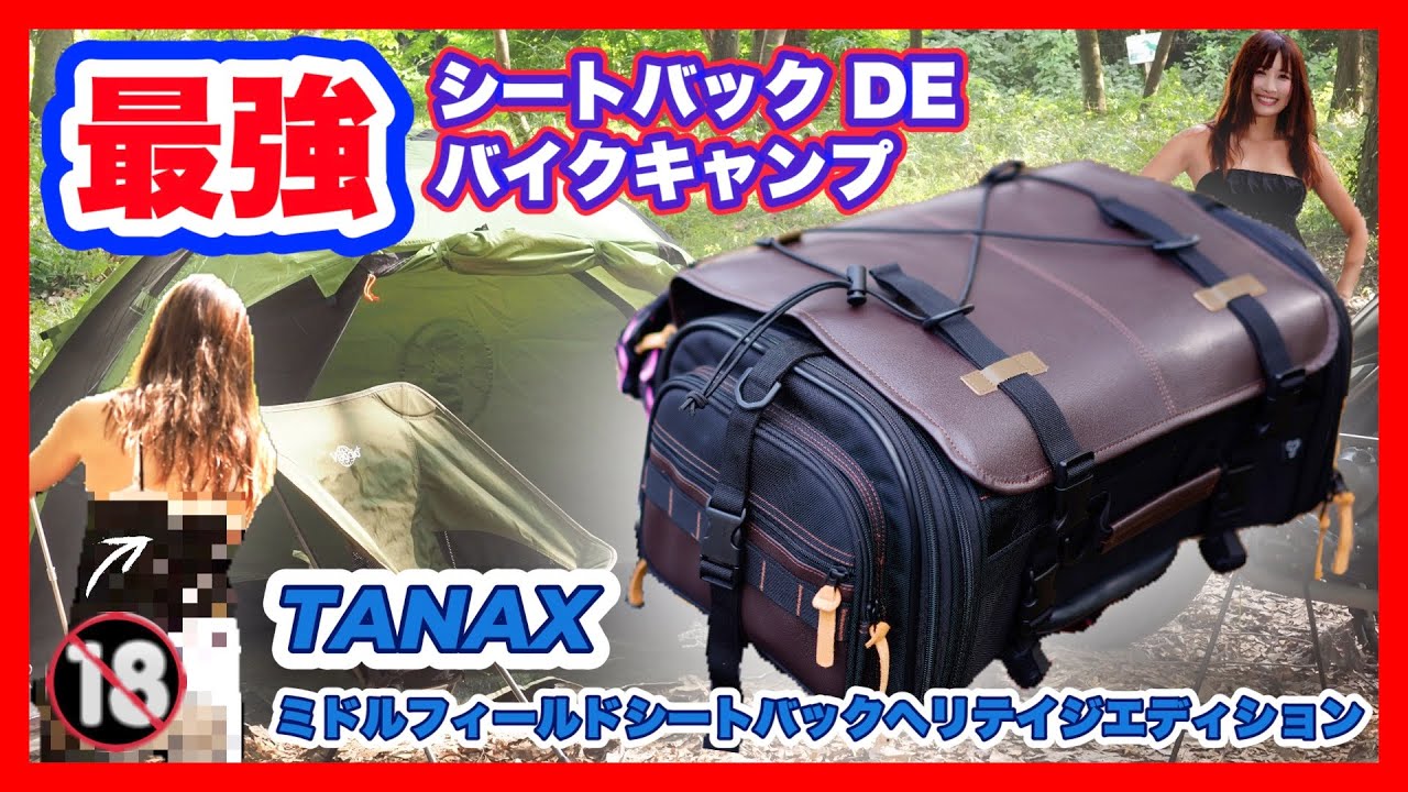 迷ったらコレ！！】普段、キャンプ！どっちも使える！最強シートバック 