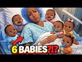 Should SHANIIROSE get her TUBES TIED 😱