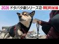 2026狂犬病予防注射会場のドタバタ劇② 朝日町前編