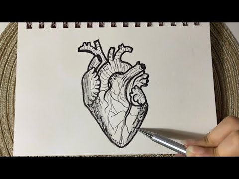 فيديو: كيفية رسم قلب بالورود على مراحل