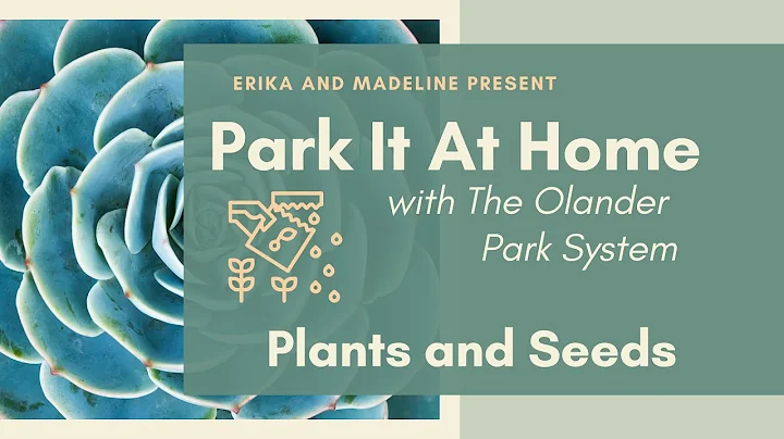 Park It At Home with TOPS: Plants and Seeds