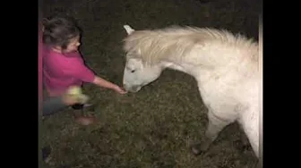 appel, Hier Sal jy boer appel, Hier Sal jy boer