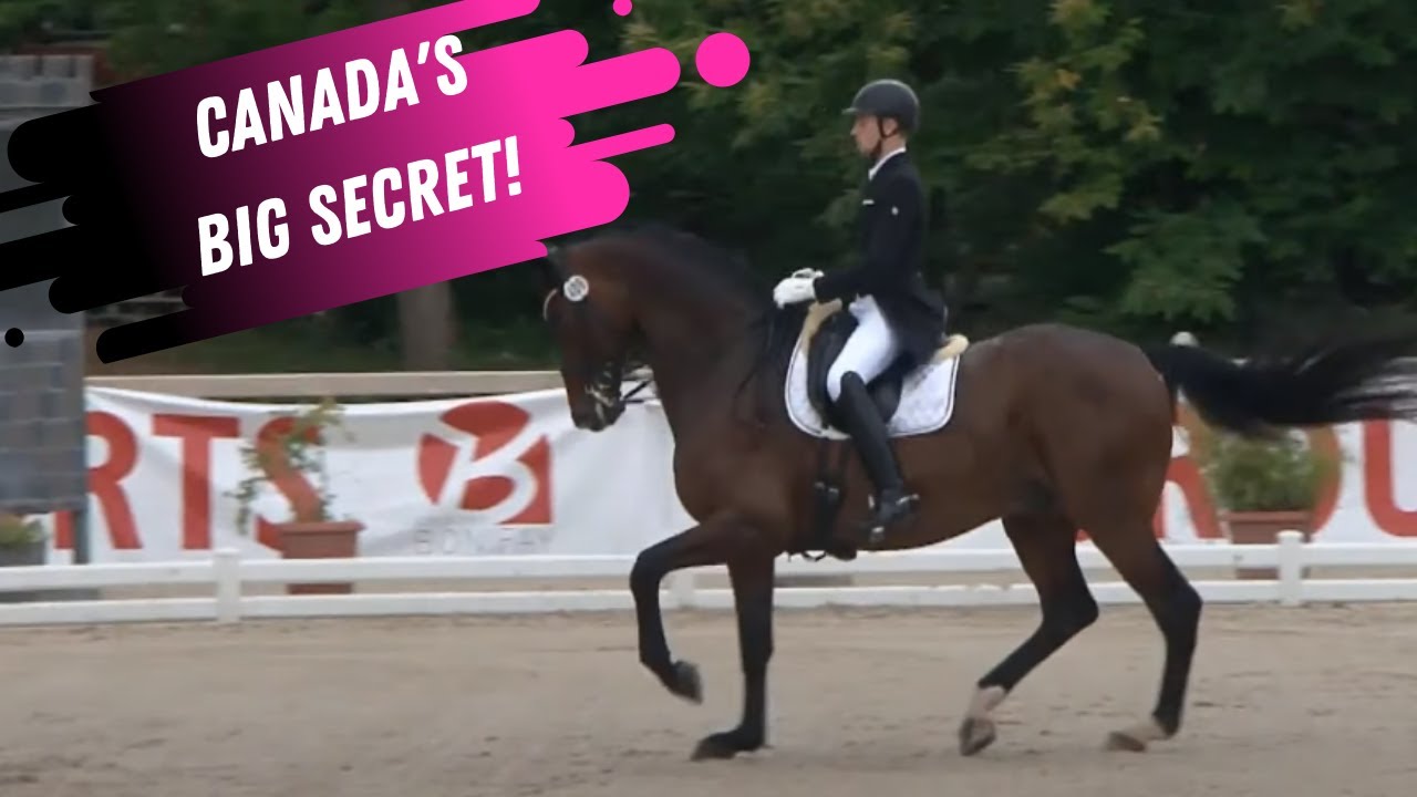 The Rising Star In Dressage That Nobody Is Talking About! Check Out Ryan Torkkeli