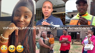 What Do South Africans Think Of Black Americans? | Exploring Jozi Vlog