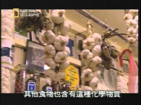 國家地理頻道, 動物長壽的秘密