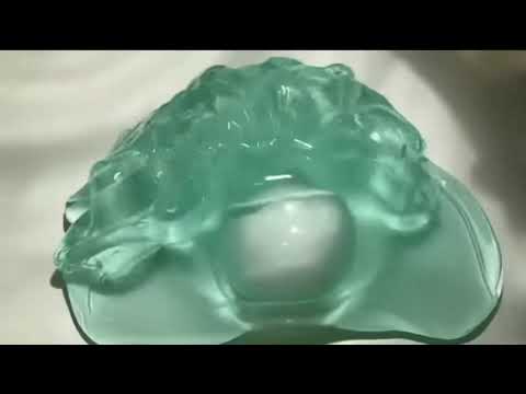 몽글님 공론화