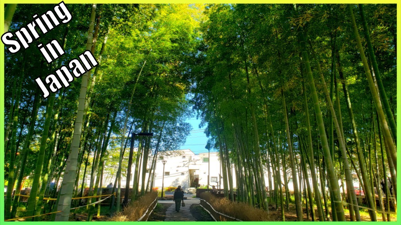A Spring Day in Japan - YouTube