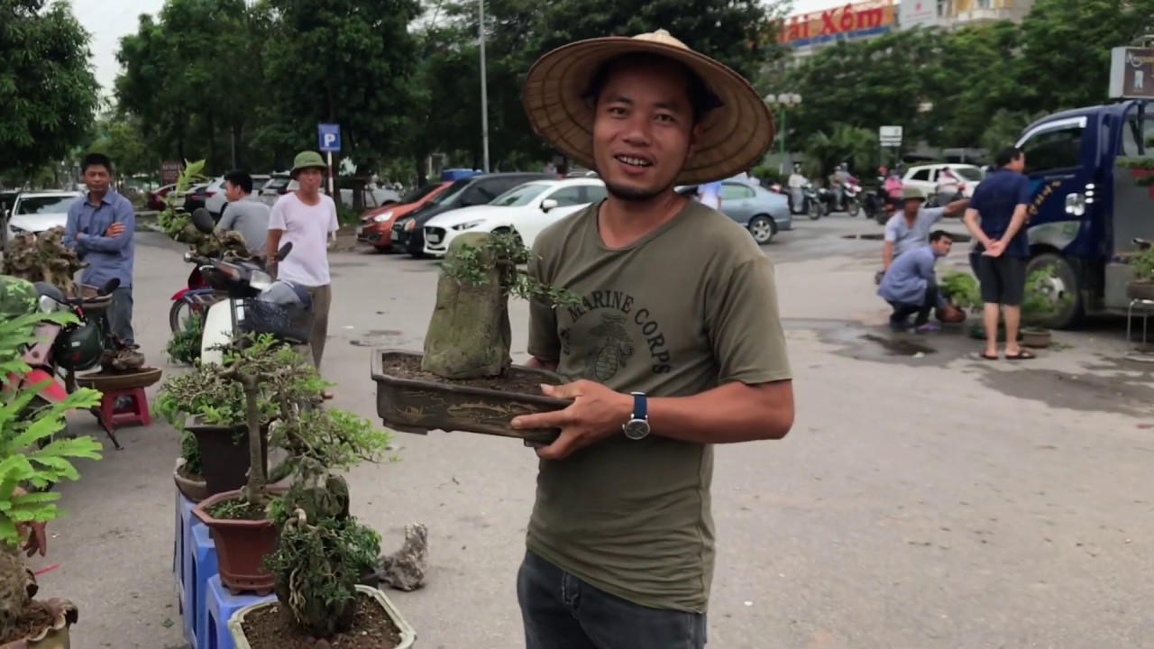 CHỢ VẠN PHÚC PHIÊN NÀY VUI - BÁO GIÁ LOẠT BONSAI ÔM ĐÁ CỦA TRUNG RÂU, ÔNG NHẠN, DŨNG MINI
