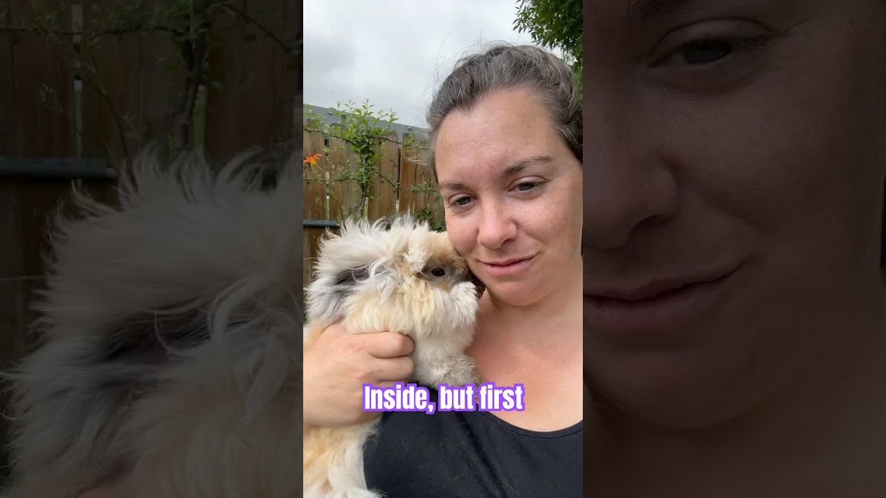 Okay. Inside cleaning #workingseeds #homegardening #sahm #colorado #indoorgardening #momlife #angora