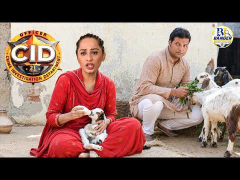 गाँव में बकरी पालने वाले बने CID अफसर, पीछे छिपा था बड़ा मिशन || CID || Latest Episode