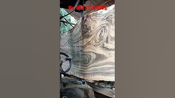 penggergajian kayu JATI raksasa diameter 120 cm. corak istimewa... #knifeskills #damascusknives #kl