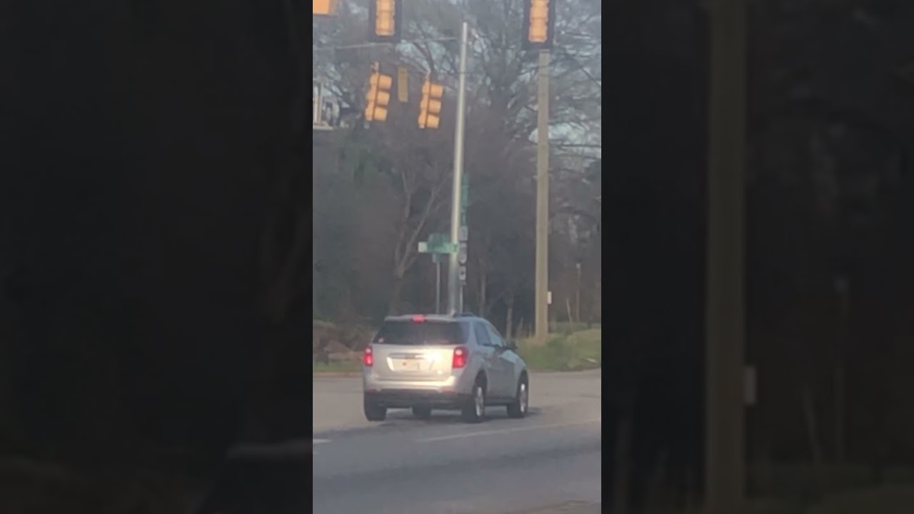 NS P99 but Megalovenia