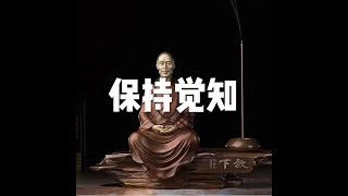 201801 保持觉知23051