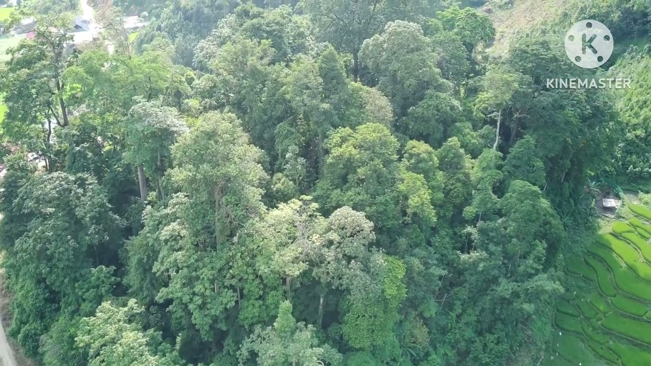 Zoov dlaab nậm lúc