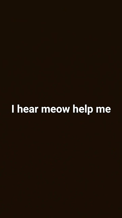wdyh
