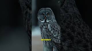 5 Birds With Serious Anger Issues