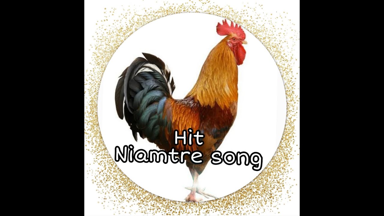 HIT NIAMTRE SONG ll 2022 ll Subscribe for more update