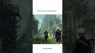 Niers World Is Hauntingly Beautiful