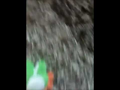 New Mario and Luigi Wild West Part 1.wmv